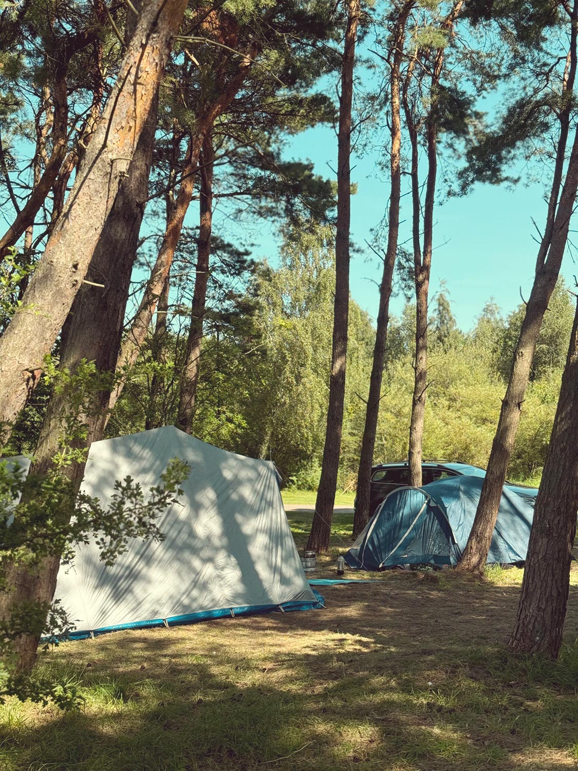 Lomma Camping — photo 8